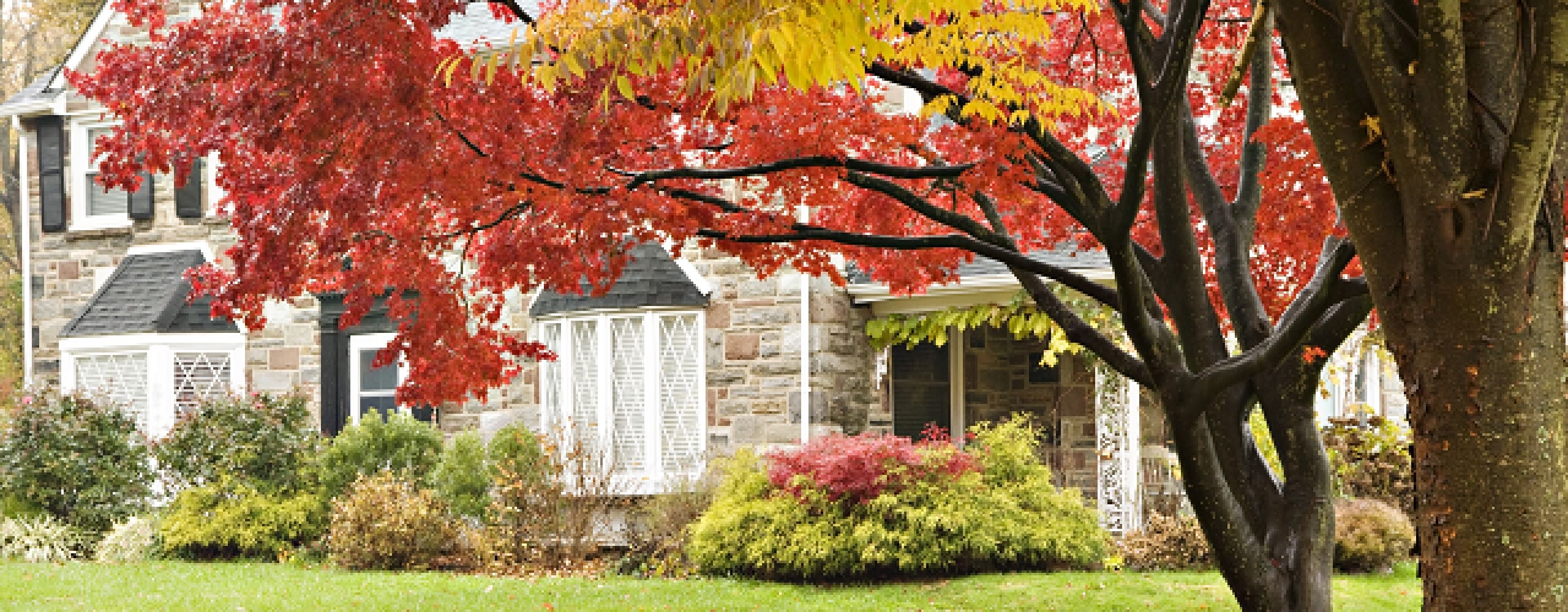 Make Buyers Fall In Love From The Street With Outstanding Fall Curb Appeal!