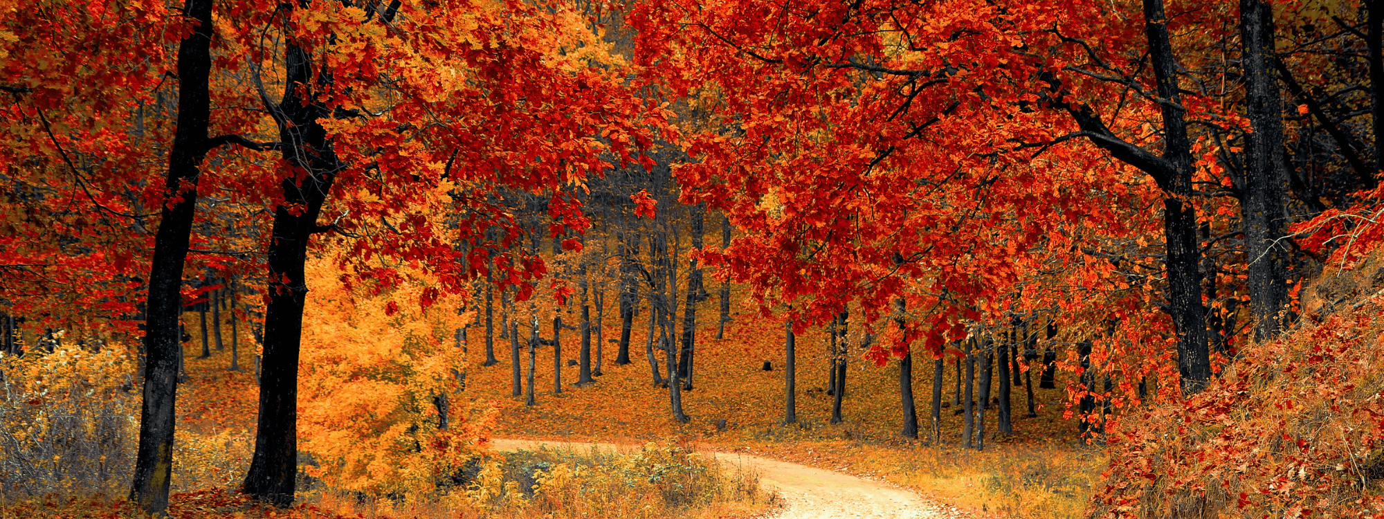 Fall Real Estate Update: Prices Up, Market Moving, and What You Need to Know