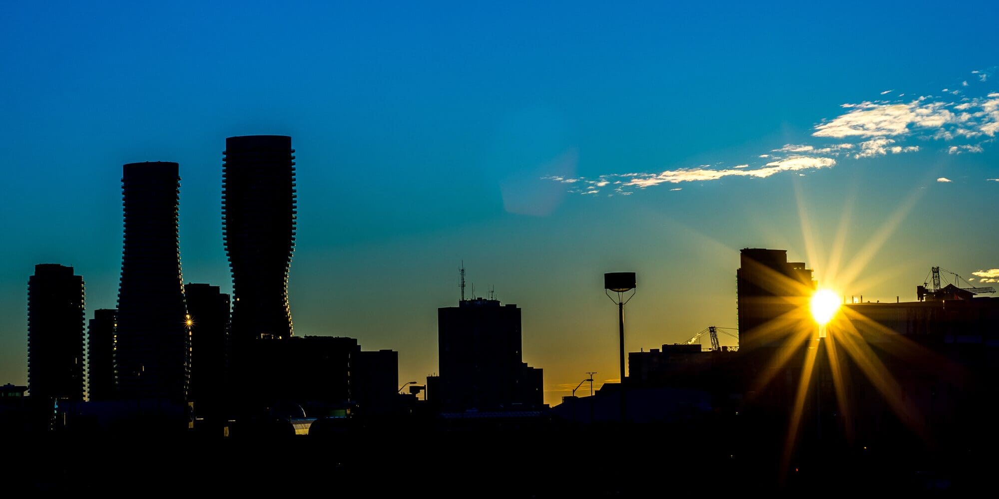 November: A Steady, Strategy-Driven Market